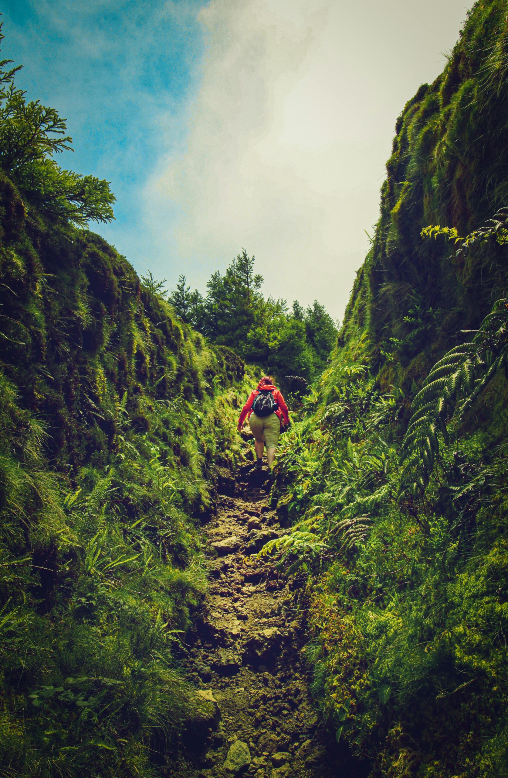 Hiker trekking through lush greenery in the Azores. Perfect for nature and adventure themes.